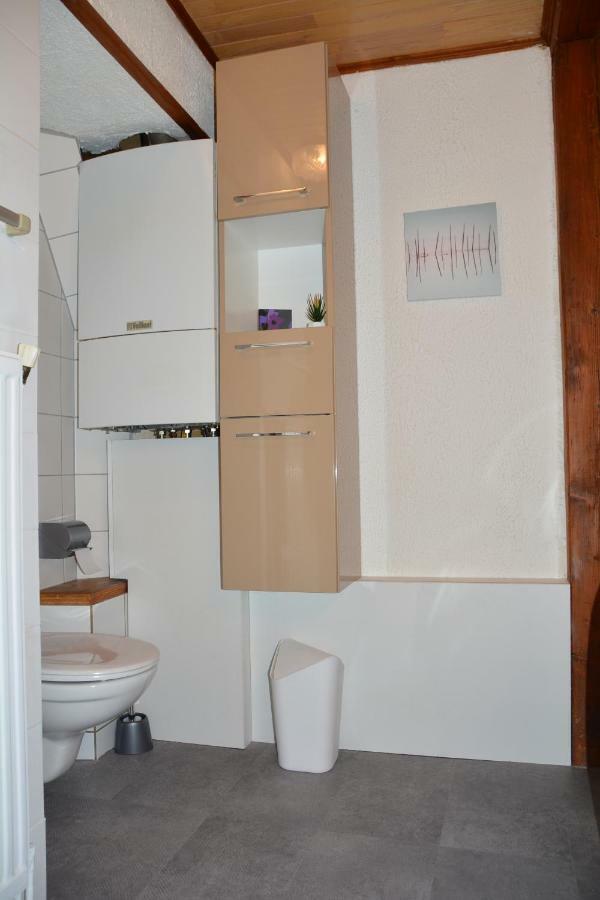 Ferienwohnung Le Cerf Colmar Exterior foto