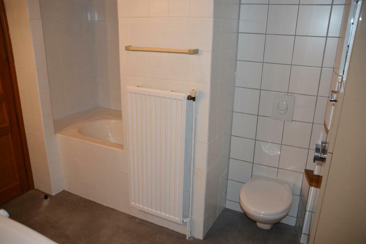Ferienwohnung Le Cerf Colmar Exterior foto